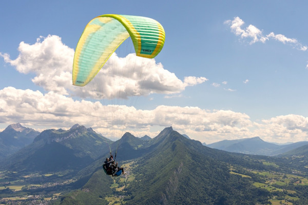 Force 41 tandem